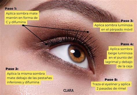 Guia visual Soportar maquillaje para ojos paso a paso de dia mecánico Viscoso Desbordamiento