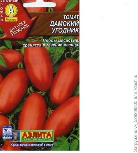 Любимые помидоры