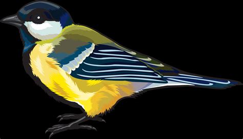 Download Colorful Great Tit Illustration | Wallpapers.com