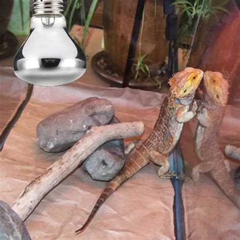 50w100w Pet Heating Lamp Amphibian Amphibian Snake Lamp Heat Reptile ...