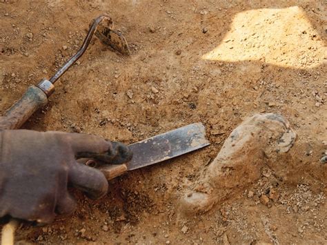 The peoplelooker up discovery that solved a decades-old mystery 30