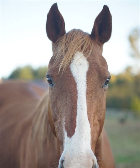 Local guides explain the rich agricultural history of binbrook hamilton