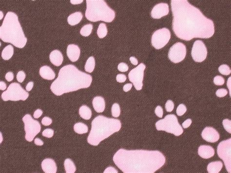 Paw Print Wallpaper (34+ images)