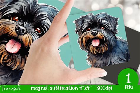 Cute Affenpinscher Magnet PNG Graphic by TanuschArts · Creative Fabrica