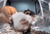 fresh gif  fresh discover share gifs