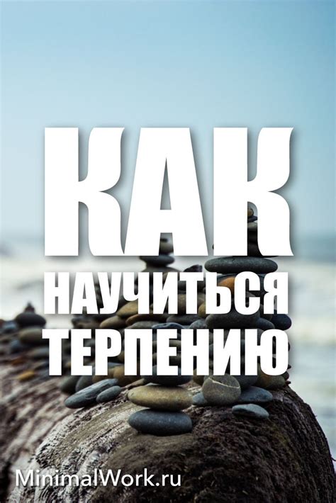Как научиться терпению | Веселые высказывания, Позитивные мысли, Терпение