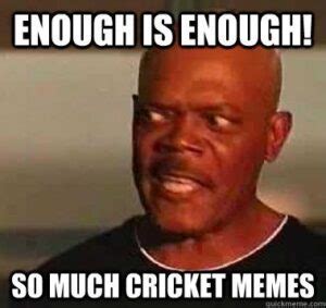 25 Funny Cricket Memes That Will Make You laugh - List Bark