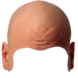 bald head transparent background  human body transparent image bald