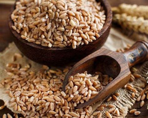 Is farro the new supergrain on the block? | Femina.in