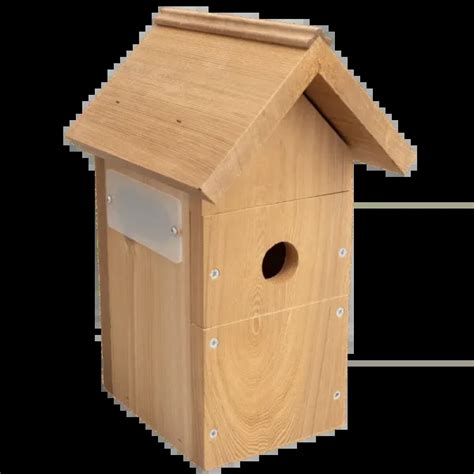 AI-Powered Bird House & Nest Box Camera | Nest Box Live