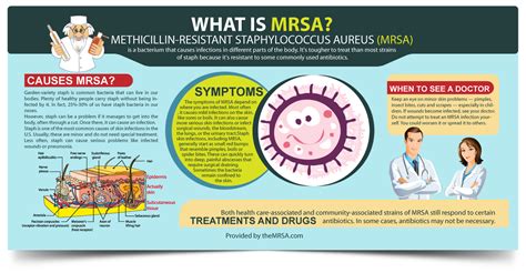 Infographic: What is MRSA? Understand the basics... | MRSA Infection