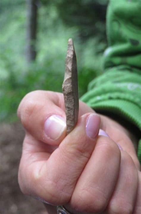 palaeolithic artifacts discovered   cave  slovakia archaeology world