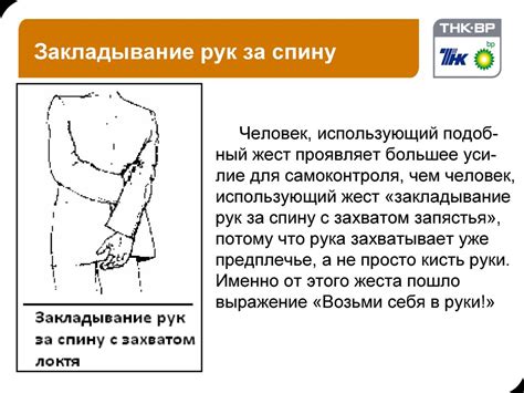 Язык жестов - презентация онлайн