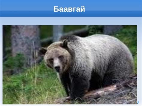 хэрэглэгдэхүүн 1