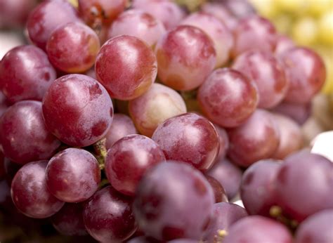 grape red globe pohlmans  plant people phone