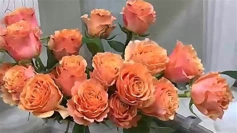Свежая поставка срезанных цветов😇