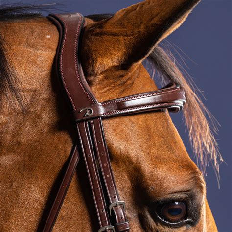 differences   dyon collections