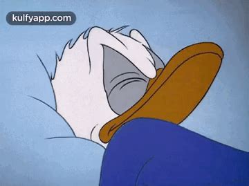 Sleeping Duck.Gif GIF - Sleeping duck Anim-night Duck - Discover ...