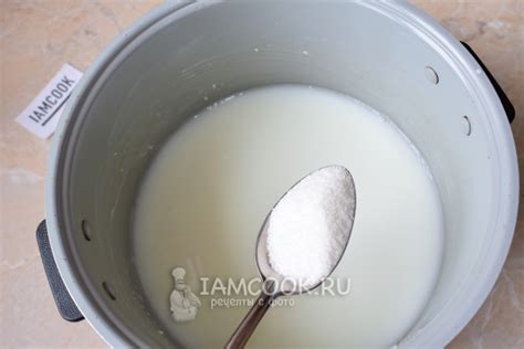 Рисовая каша на молоке в скороварке-мультиварке — рецепт с фото ...