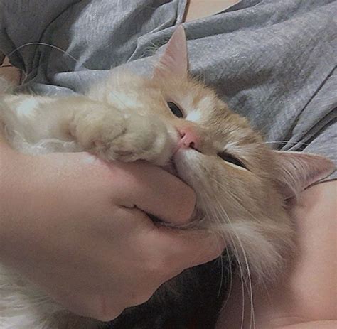 Котик)😩💕