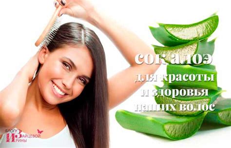 Сок алоэ для волос. Как применять в домашних условиях