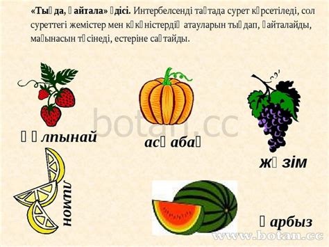 Презентация на тему Жемістер мен көкөністер