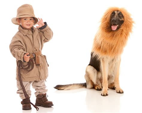 human  animal communication  ways  communicate learn