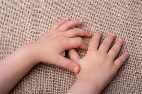 toddler hands stock  images  backgrounds