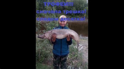 Первые трофеи!Щука 3 и 10кг. - YouTube