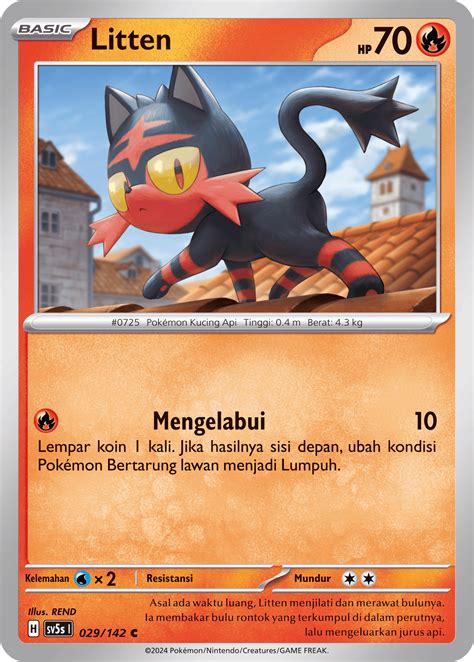 litten situs web pelatih