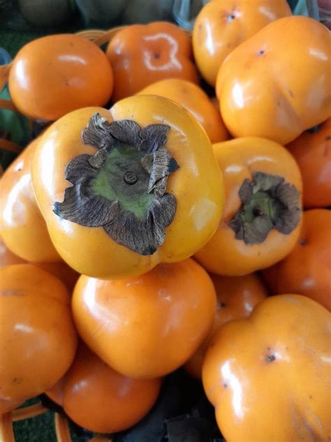 Sharon Fruit – Sussex Fruits