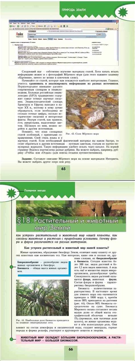Читать онлайн учебник по географии за 7 класс Алексеев Николина Липкина