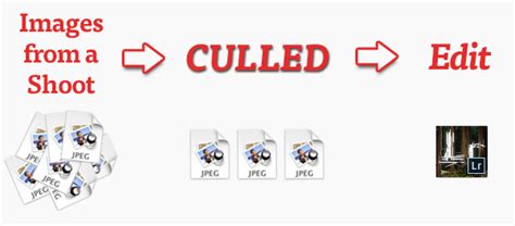 Getting to the Good: Culling Images - Lightroom Love