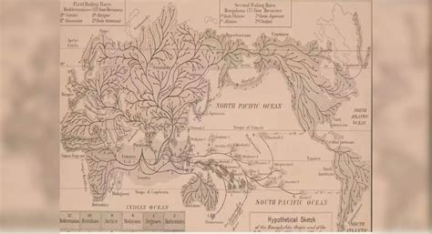 Did Lemuria, the lost continent, ever exist?, World - TimesTravel