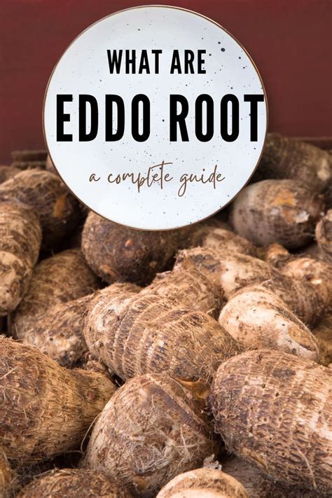 eddo root benefits    buy store  simple  fas