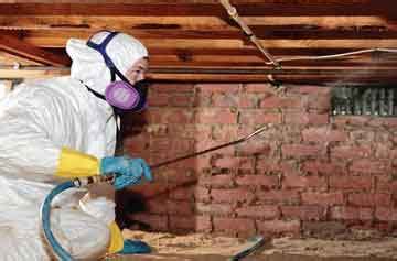 Crawl Space Mold Remediation & Removal Charlotte, NC