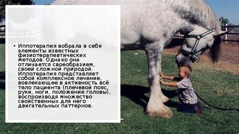 Иппотерапия