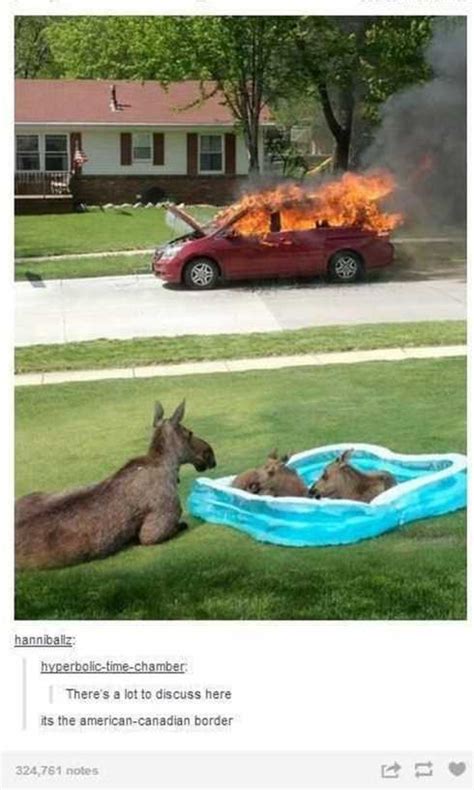 31 VERY Funny Pictures