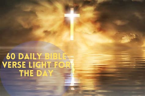 full  light    bible  randy llamas blog