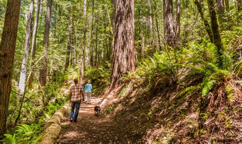 5 Stress-Busting Hikes in Southern Oregon - Travel Oregon