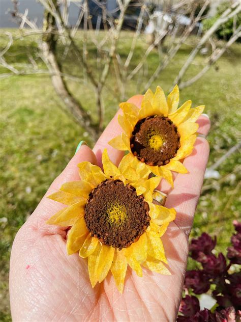 Moon SUGAR - Moon SUGAR added a new photo.