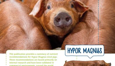Management Guides - Hypor
