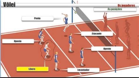 Regras E Posições Do Vôlei - Modelo De Posicoes Na Quadra De Volei 768x1024
