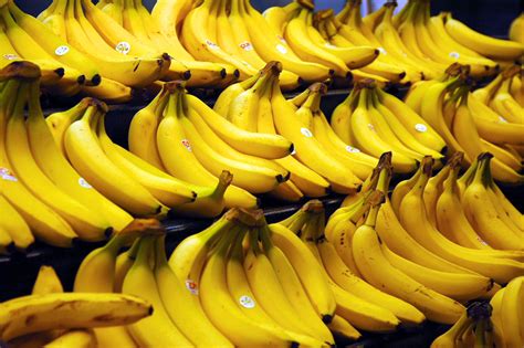A New Kind of Global Die-Off: Bananas Hit by Rapidly Spreading Diseases ...