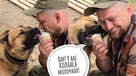 Сурок ест яблочко, пёс Кубик мороженку, кошка Морошка ловит саранчу ...