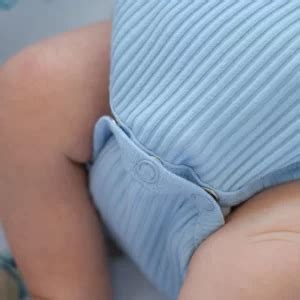Боди из лапши | Dogodashop