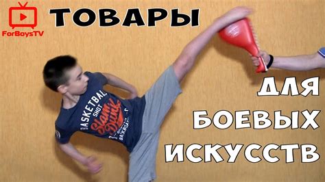 Лапа-ракетка (хлопушка) и пады для тайского бокса, тхэквондо, каратэ ...