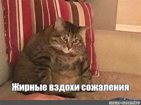 Мем: "Жирные вздохи сожаления" - Все шаблоны - Meme-arsenal.com