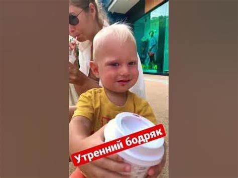 Утренний бодряк - YouTube