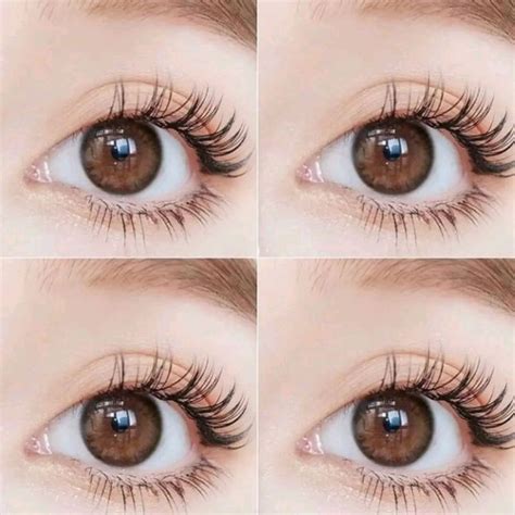 jual mini kelly brown shopee indonesia